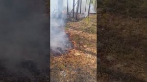 Федеральная Авиалесоохрана, испытание нового реагента в Тыве, остановка огня проливкой