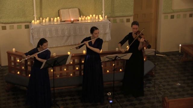 И.С. Бах. Адажио из сонаты E-dur