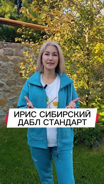 Что посадить в октябре, как выбрать качественную луковицу для посадки? #сад #цветы #клумба #растения