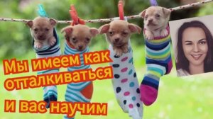 Мошенник узнал новое значение слова инвестиции