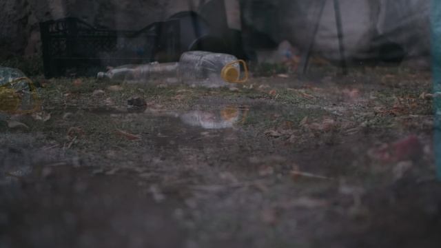 Осень Panasonic Lumix GH5s + Sigma 18-35 смотреть онлайн