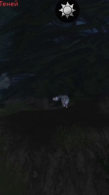 И как мне записывать видео???