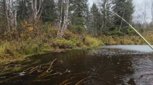 Рыбалка на хариуса 28.09.2025