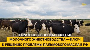 Харитонов: восстановление молочного животноводства — ключ к решению проблемы пальмового масла в РФ