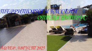ОБЗОР ТЕРРИТОРИИ И БАССЕЙНА ОТЕЛЯ " CITRUS". ОТДЫХ. АДЛЕР. АВГУСТ 2025.👀🏰🌅🏊♂️🌴🌵