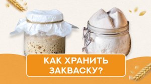 Почему ваша закваска умирает в холодильнике? Как сохранить живую закваску и вкусный хлеб надолго