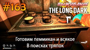 Готовим пеммикан и всякое. В поисках тряпок | The Long Dark #163