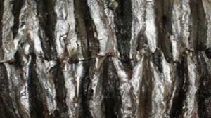 Пирог с мойвой слоеный