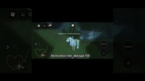 Эдит в честь 18 котят