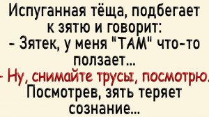 Смешые анекдоты ! ПОДБОРКА 2025 года #6 Ржака Полная 😂