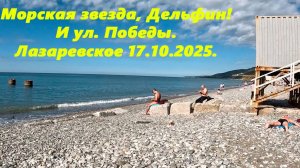 Морская звезда, Дельфин и ул. Победы. Лазаревское 17.10.2025.
