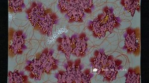 Melt_it_seed1134824599