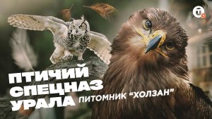 Центр «Холзан»: как спасают 250+ хищных птиц на Урале? Беркуты, грифы, полярные совы и другие