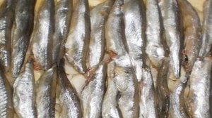 Пирог с мойвой