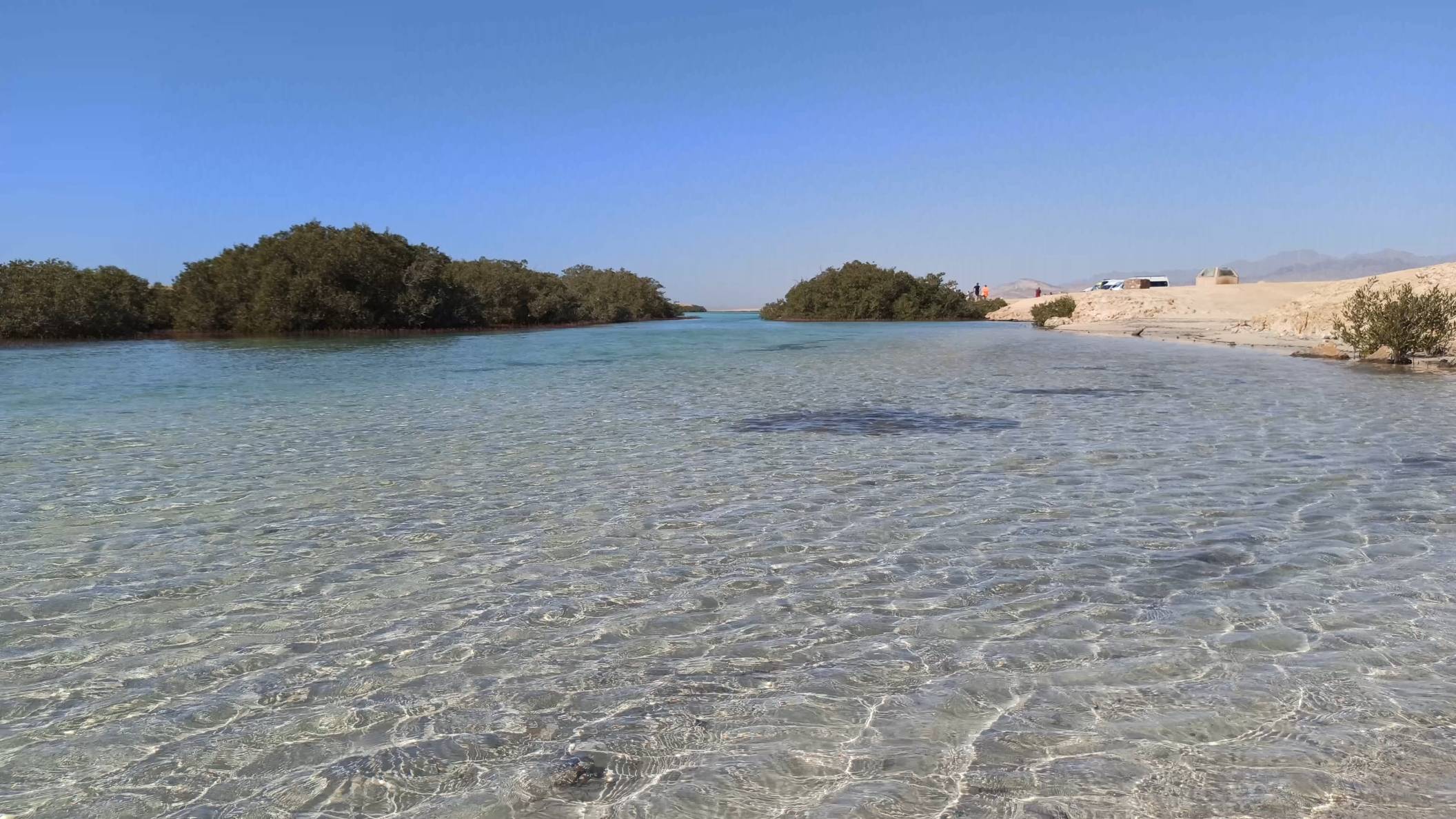 ЕГИПЕТ-2025-ШАРМ. #33.4 - МАНГРОВАЯ РОЩА в ЗАПОВЕДНИКЕ РАС-МОХАММЕД (Ras Mohammed). ЭКСКУРСИЯ. Д. 8