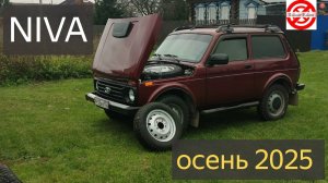 Нива зимняя резина.Какую купить зимнюю резину с шипами или без,что бы кайфовать на Niva Legend