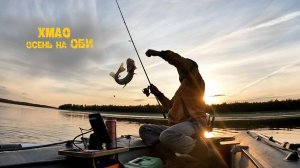 Осенняя рыбалка на обской протоке, клюет на все! с. Каменное