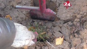 «Лет через 30 мы приедем сюда и будем смотреть на плоды наших стараний»