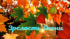 Зрелость Осени. Стихи и генерация звука в ИИ - Е.Васюнина, монтаж - Е.Доставалов