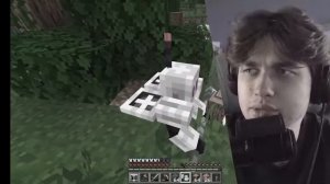 Феликс. Помощники боты