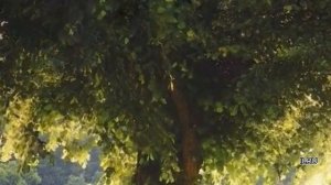 Истории из жизни | Начало одной истории|Аудио рассказы |Аудиокниги слушать онлайн | Жизненные