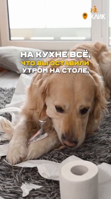 Ад хозяина - в круге первом...