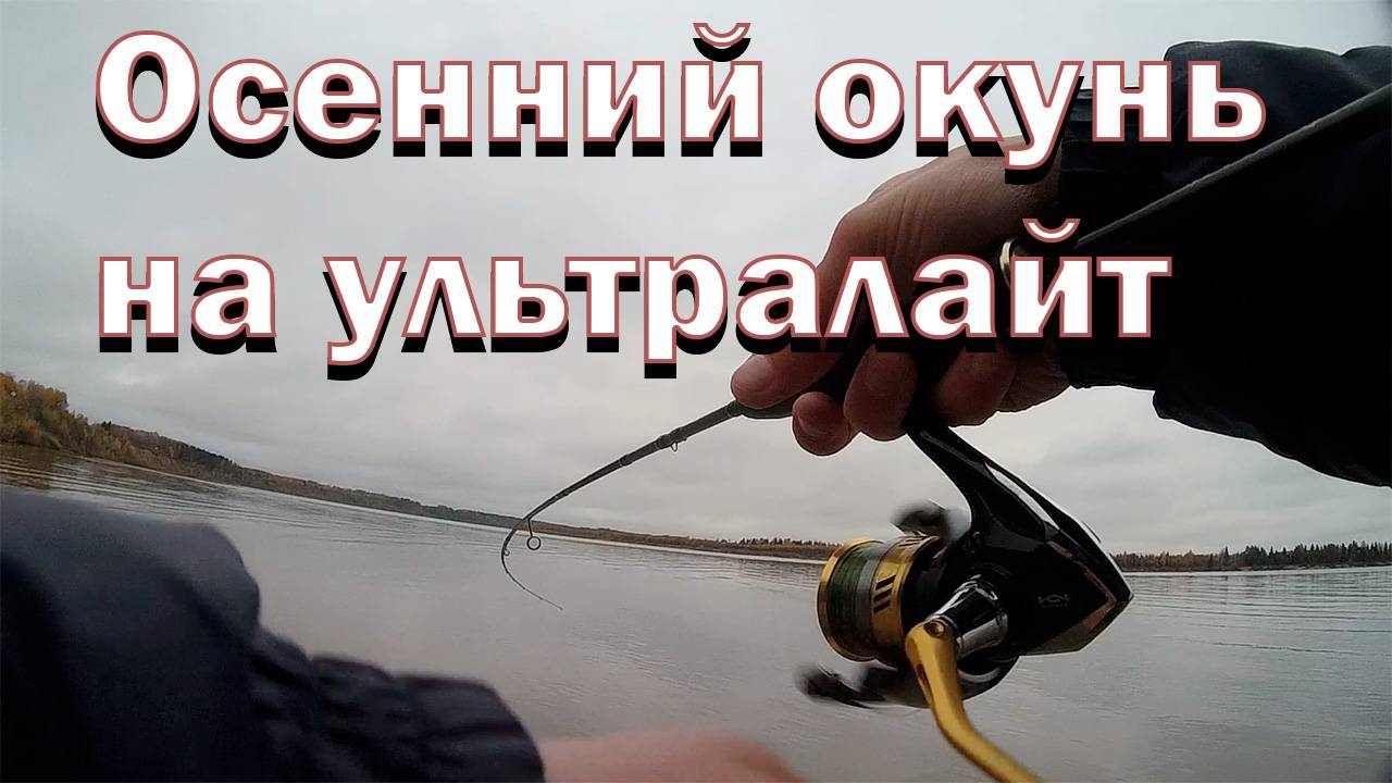 Взял реванш у окуня! Ловля ультралайтом на большой реке! Рыбалка осенью 2025! Спиннинг!