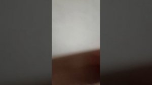 99 ночей
