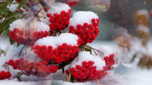 Начало зимы.... Песня на стихи Татьяны Силютиной смотреть онлайн