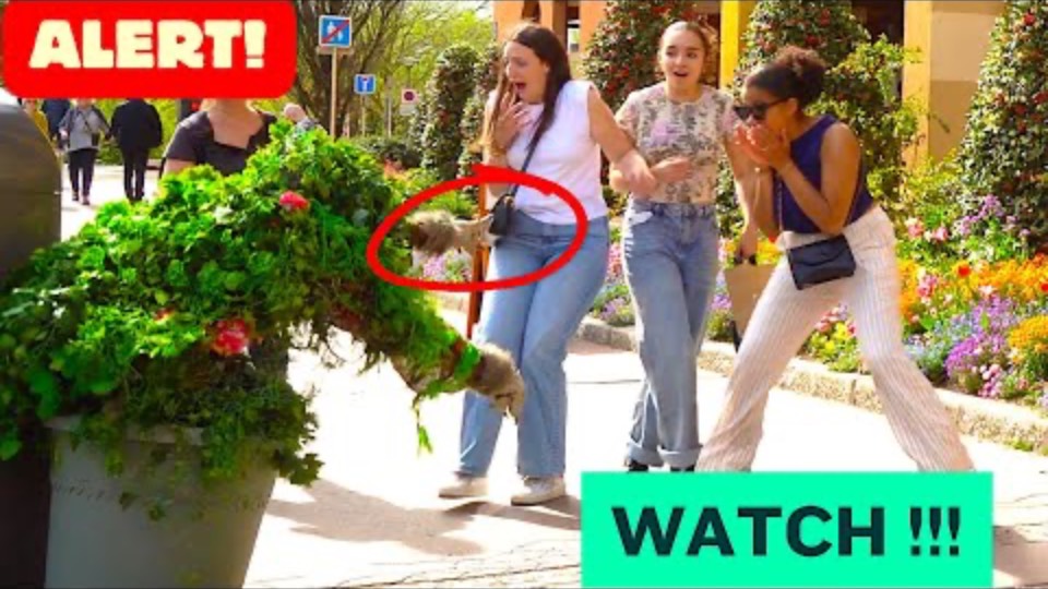 BUSHMAN PRANK_ A DAY SHE WILL NEVER FORGET !! #fun#funny#comedy#prank смотреть онлайн