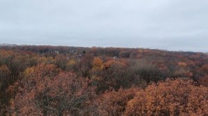 DJI neo Нижний Новгород осенний парк Щелчок!!!