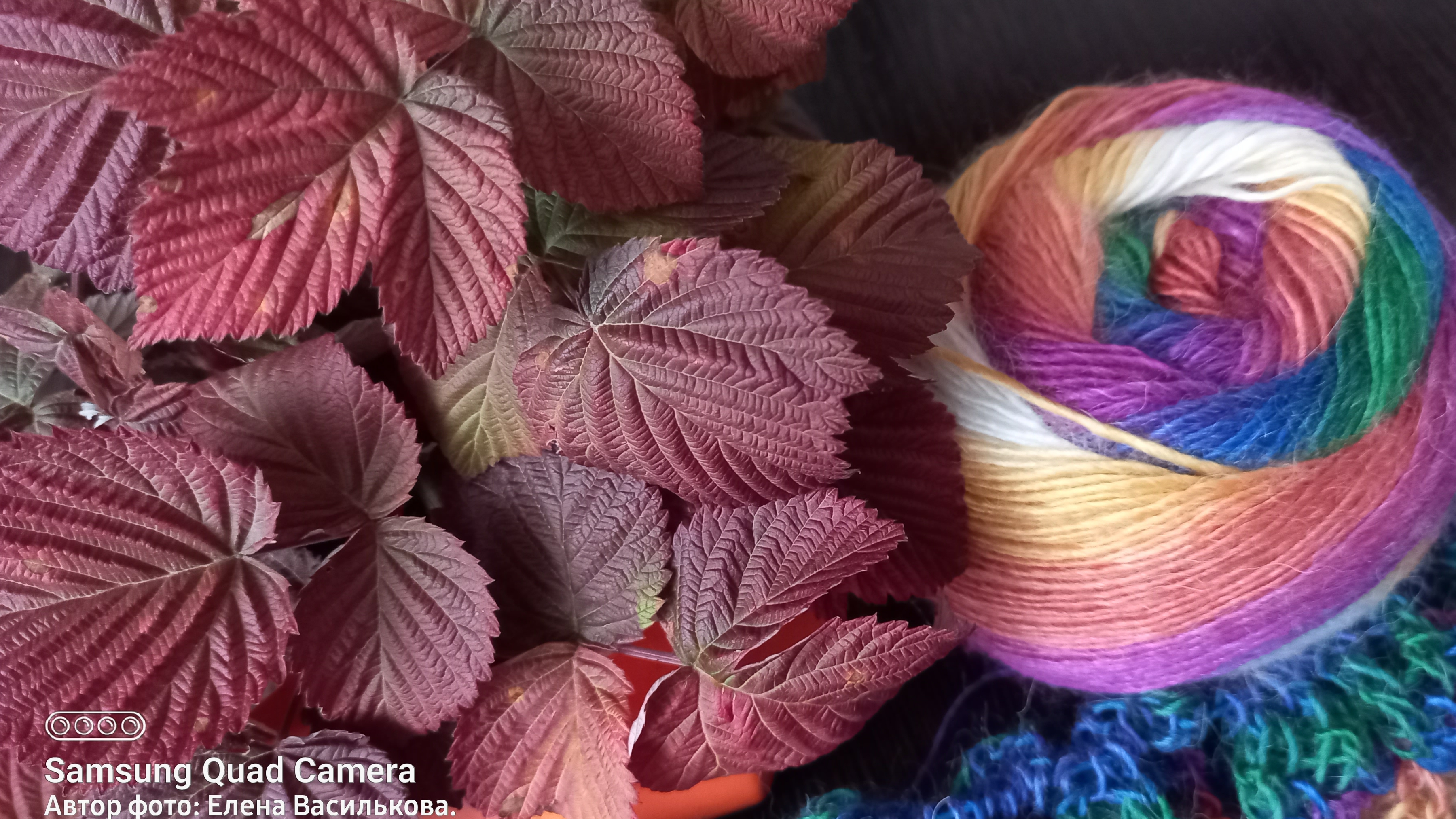 СП Нам Осень краски подарила//Отчёт 3