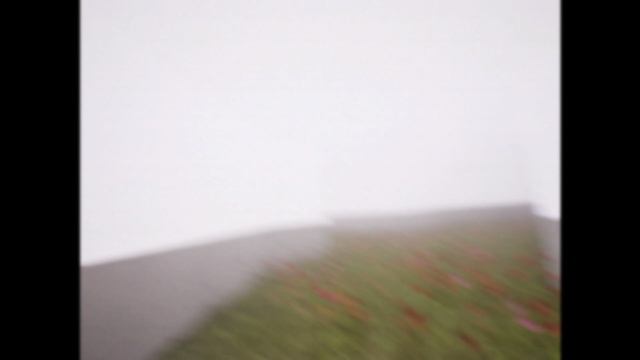 NZS Plays Radio Check