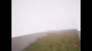 NZS Plays Radio Check