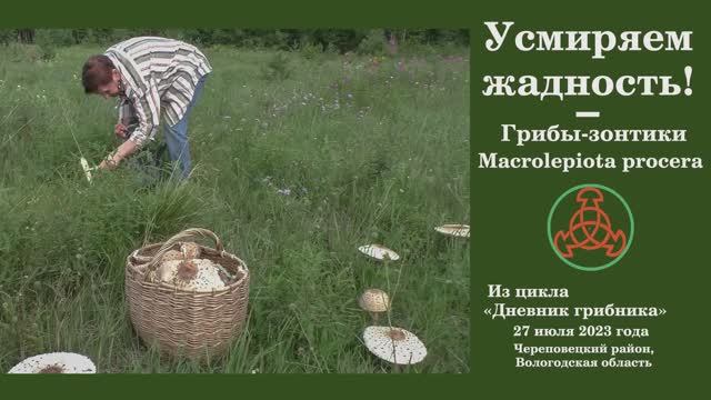 Усмиряем жадность! Дневник грибника 27 июля 2023 года смотреть онлайн