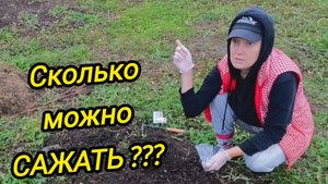 КУПИЛИ ДОМ В ДЕРЕВНЕ | Сколько можно сажать | Дом в деревне | Деревенская жизнь