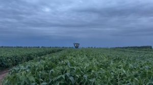 Фотонный дезинфектор