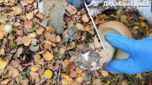 Грибы нас радуют.