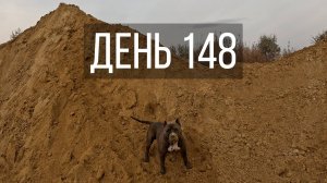 День 148