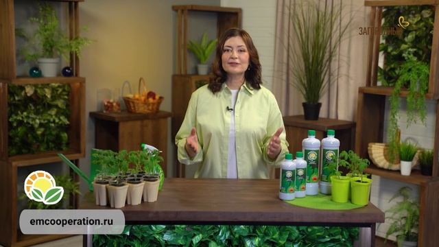 Крепкая  рассада – залог богатого урожая. Мой Загородный (200)