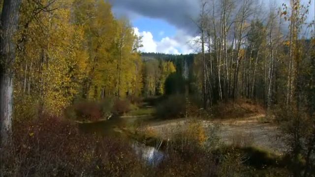 Загуляла осень,загуляла