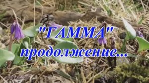 ГАММА - 20 лет спустя. Зарайск 2012 г. (ч. 2)