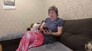почувствовала себя оскорблённой ‼️