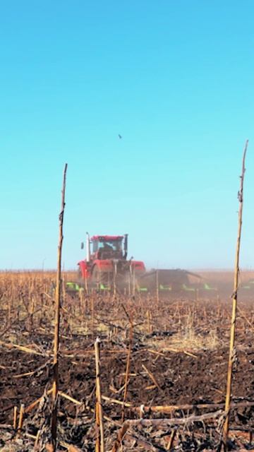 Испытания новинки от VELES — ножевого катка МК-12 «Бритва» #агротехнологии #veles #агротехника смотреть онлайн