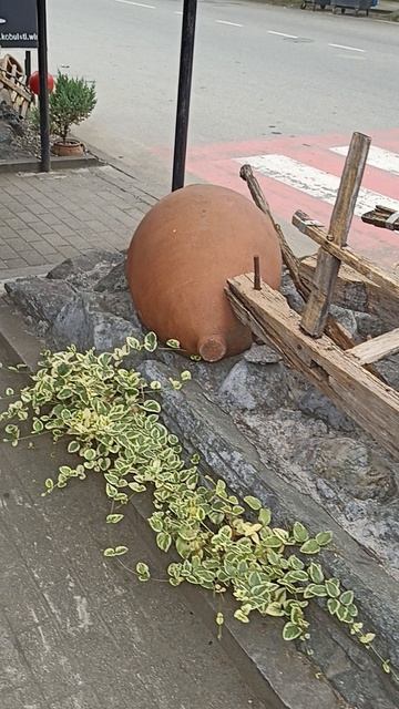 Грузинский колорит в Кобулети (Грузия) 12.07.2025