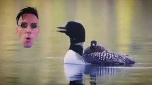 Venjent - Take Your Own Advice