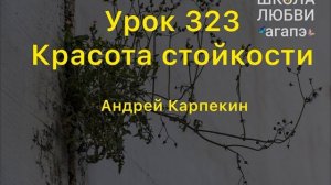 323. Красота стойкости. Школа Любви Агапэ.