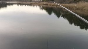 Поймал ротана в октябре.