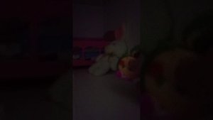 1000001952.mp4