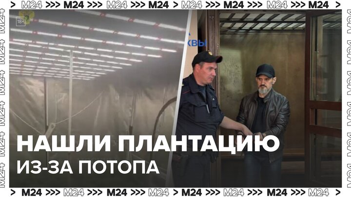 В Москве нашли наркоплантацию благодаря заливу квартиры - Москва 24